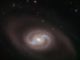 Hubble-Aufnahme der Spiralgalaxie NGC 2273. (Credit: ESA / Hubble & NASA, J. Greene)