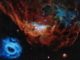 Hubble-Aufnahme der Nebelstrukturen NGC 2014 (rot) und NGC 2020 (blau) in einer ausgedehnten Sternentstehungsregion in der Großen Magellanschen Wolke. (Credits: NASA, ESA and STScI)