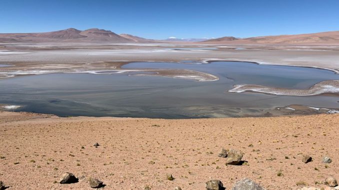 Die Quisquiro-Salzwüste in Südamerika repräsentiert eine Art Landschaft, die laut Forschern im Gale-Krater auf dem Mars existiert haben könnte. (Credits: Maksym Bocharov)