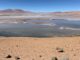 Die Quisquiro-Salzwüste in Südamerika repräsentiert eine Art Landschaft, die laut Forschern im Gale-Krater auf dem Mars existiert haben könnte. (Credits: Maksym Bocharov)