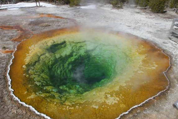 Der Morning Glory Pool im Yellowstone National Parkl. (Credits: Jim Peaco for the National Park Service) Der Morning Glory Pool im Yellowstone National Parkl. (Credits: Jim Peaco for the National Park Service)