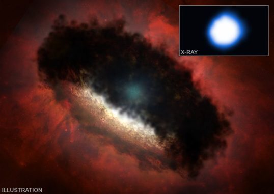 Illustration und eine Röntgenaufnahme des Protosterns HOPS 383, basierend auf Beobachtungen des Weltraumteleskops Chandra. (Credits: X-ray: NASA / CXC / Aix-Marseille University / N. Grosso et al.; Illustration: NASA / CXC / M. Weiss)