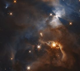 Hubble-Aufnahme des "Fledermausschattens", dem Schatten einer protoplanetaren Scheibe auf einer nahe gelegenen Wolke. (Credit: NASA, ESA, K. Pontoppidan)