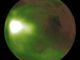 Das "Nachtleuchten" der Atmosphäre auf dem Mars im Ultraviolettbereich, basierend auf Daten der Raumsonde MAVEN. (Credits: NASA / MAVEN / Goddard Space Flight Center / CU / LASP)