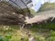 Schäden am Arecibo-Radioteleskop in Puerto Rico. (Credits: University of Central Florida)