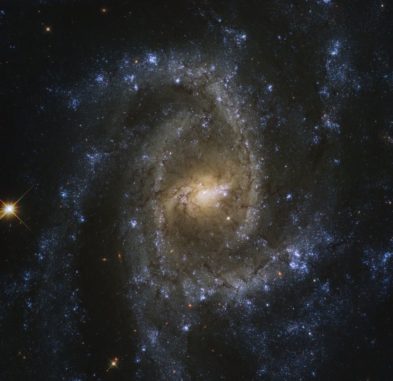 Hubble-Aufnahme der Spiralgalaxie NGC 2835. (Credits: ESA / Hubble & NASA, J. Lee, and the PHANGS-HST Team; Acknowledgement: Judy Schmidt (Geckzilla))