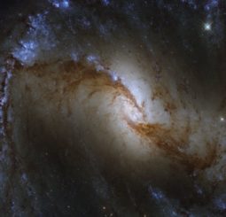 Hubble-Aufnahme der Balkenspiralgalaxie NGC 1365. (Credits: ESA / Hubble & NASA, J. Lee and the PHANGS-HST Team; Acknowledgement: Judy Schmidt (Geckzilla))