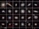 Eine Auswahl der 7.000 untersuchten Galaxien. (Credits: GAMA Survey Team, ICRAR / UWA)