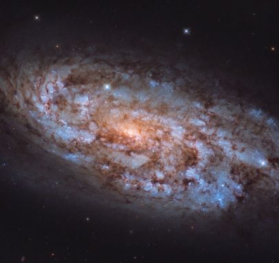 Die Starburst-Galaxie NGC 1792, aufgenommen vom Weltraumteleskop Hubble. (Credits: ESA / Hubble & NASA, J. LeeM; Acknowledgement: Leo Shatz)