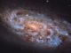 Die Starburst-Galaxie NGC 1792, aufgenommen vom Weltraumteleskop Hubble. (Credits: ESA / Hubble & NASA, J. LeeM; Acknowledgement: Leo Shatz)