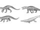 Verschiedene prähistorische Krokodilarten. (Credit: University of Bristol)