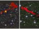 Die zwei Riesenradiogalaxien MGTC J095959.63+024608.6 (links) und MGTC J100016.84+015133.0 (rechts), basierend auf Daten des MeerKAT-Teleskops. (Credits: I. Heywood (Oxford / Rhodes / SARAO, Attribution CC BY 4.0)