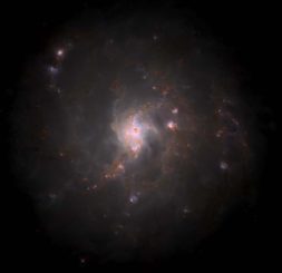 Die Milchstraßen-Galaxie als Computersimulation. (Credits: Kannan et al. 2020)
