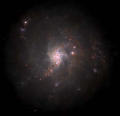 Die Milchstraßen-Galaxie als Computersimulation. (Credits: Kannan et al. 2020) Die Milchstraßen-Galaxie als Computersimulation. (Credits: Kannan et al. 2020)