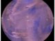 Staubstürme auf der Nordhalbkugel des Mars, aufgenommen von der Raumsonde Mars Global Surveyor. (Credits: NASA; Battalio and Wang 2021)
