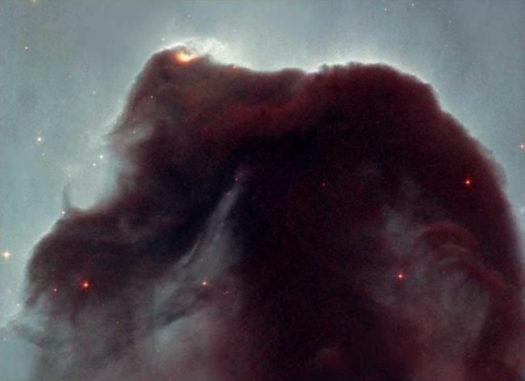 Ein Bild des Pferdekopfnebels im Sternbild Orion, aufgenommen in sichtbaren Wellenlängen. Der Staub der Dunkelwolke blockiert das Licht des hellen Nebels im Hintergrund. (Credits: NASA / Hubble, and Nigel A. Sharp, NOAO / AURA / NSF) Ein Bild des Pferdekopfnebels im Sternbild Orion, aufgenommen in sichtbaren Wellenlängen. Der Staub der Dunkelwolke blockiert das Licht des hellen Nebels im Hintergrund. (Credits: NASA / Hubble, and Nigel A. Sharp, NOAO / AURA / NSF)