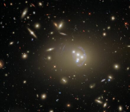 Hubble-Aufnahme des Galaxienhaufens Abell 3827. (Credit: ESA / Hubble & NASA, R. Massey)