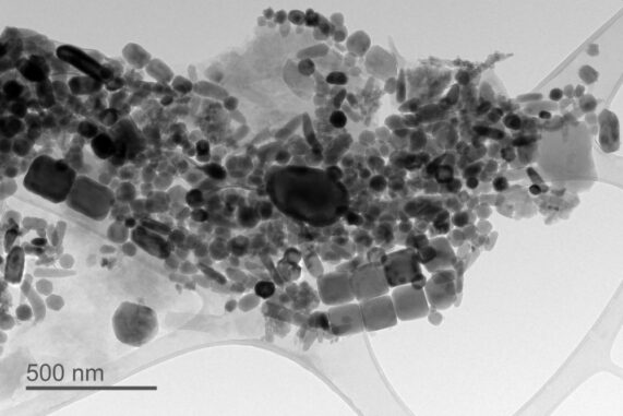 Elektronenmikroskopaufnahme verschiedener Magnetofossilien. (Credits: PHOTO CREDIT: Courtney Wagner) Elektronenmikroskopaufnahme verschiedener Magnetofossilien. (Credits: PHOTO CREDIT: Courtney Wagner)