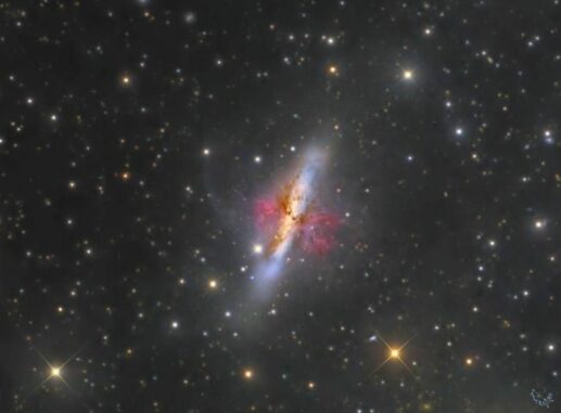 Eine optische Aufnahme der infrarothellen Galaxie M82. Die Winde erscheinen in rötlichen Farbtönen. (Credits: Alentejo Remote Observatory, Team ARO)