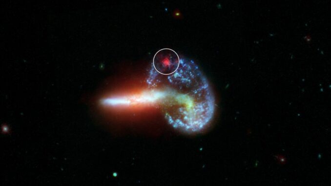 Dieses Bild zeigt die Galaxie Arp 148, basierend auf Daten der Weltraumteleskope Hubble und Spitzer. In dem weißen Kreis ist im Infrarotbereich eine Supernova zu sehen, die im sichtbaren Bereich von Staub verdeckt wird. (Credits: NASA / JPL-Caltech)