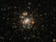 Hubble-Aufnahme des Kugelsternhaufens NGC 6717. (Credit: ESA / Hubble and NASA, A. Sarajedini)