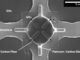 Schnitt einer Kohlefaser in einem mikroelektrischen Stromkreis. (Credits: Satoshi Matsuo and Nancy R. Sottos)