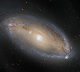 Hubble-Aufnahme der Seyfert-Galaxie NGC 5728. (Credit: ESA / Hubble, A. Riess et al., J. Greene)