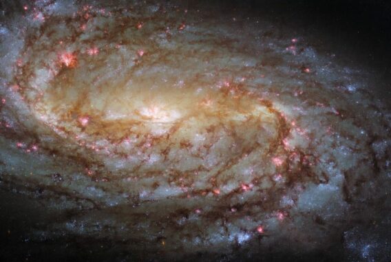 Hubble-Aufnahme der Spiralgalaxie NGC 2903. (Credits: ESA / Hubble & NASA, L. Ho, J. Lee and the PHANGS-HST Team)