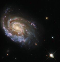 Hubble-Aufnahme der Galaxie NGC 6984. (Credits: ESA / Hubble & NASA, D. Milisavljevic)