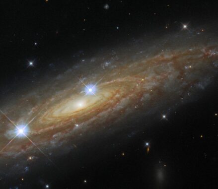 Hubble-Aufnahme der Spiralgalaxie UGC 11537. (Credits: ESA / Hubble & NASA, A. Seth)