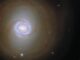 Hubble-Aufnahme der Spiralgalaxie NGC 1317. (Credits: ESA / Hubble & NASA, J. Lee and the PHANGS-HST Team)
