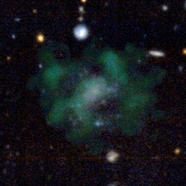 Die Galaxie AGC 114905. Blaue Farbtöne zeigen die stellaren Emissionen, grüne Wolken zeigen das neutrale Wasserstoffgas. (Credit: Javier Román & Pavel Mancera Piña / CC BY 4.0)
