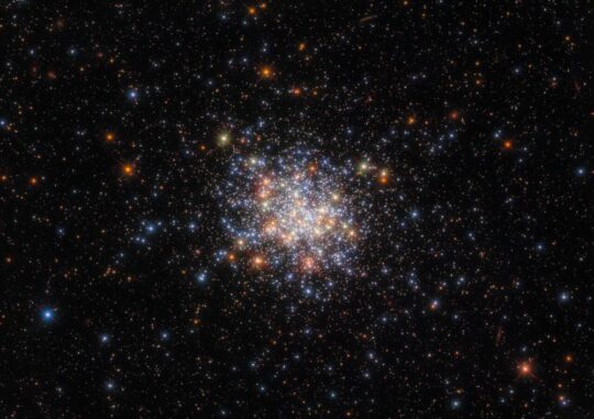 Hubble-Aufnahme des offenen Sternhaufens NGC 1755. (Credits: ESA / Hubble & NASA, A. Milone, G. Gilmore) Hubble-Aufnahme des offenen Sternhaufens NGC 1755. (Credits: ESA / Hubble & NASA, A. Milone, G. Gilmore)