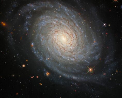 Hubble-Aufnahme der Galaxie NGC 976. (Credits: ESA / Hubble & NASA, D. Jones, A. Riess et al.)