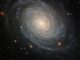 Hubble-Aufnahme der Galaxie NGC 976. (Credits: ESA / Hubble & NASA, D. Jones, A. Riess et al.)