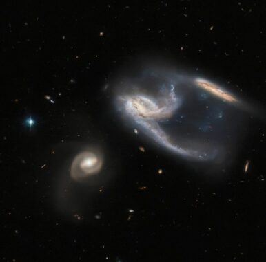 Die Galaxiengruppe NGC 7764A, aufgenommen vom Weltraumteleskop Hubble. (Credits: ESA / Hubble & NASA, J. Dalcanton, Dark Energy Survey, DOE, FNAL, DECam, CTIO, NOIRLab / NSF / AURA, ESO; Acknowledgement: J. Schmidt)