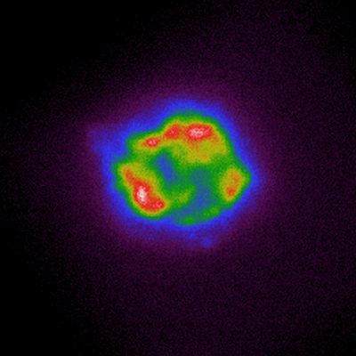 Dieses Bild zeigt den Supernova-Überrest Cassiopeia A anhand von Daten des IXPE allein. (Credits: NASA)
