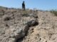 Ein Geologe des U.S. Geological Survey untersucht Gestein am südlichen Ende des Oberflächenbruchs des Ridgecrest-Erdbebens vom 5. Juli 2019 (Credits: Image by Sue Hough, USGS)