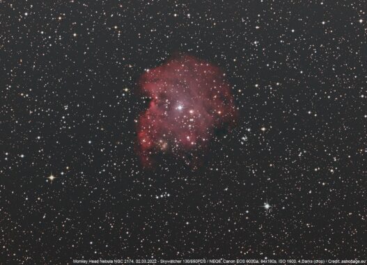 Der Affenkopfnebel NGC 2174. (Credits: astropage.eu)