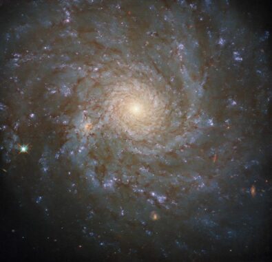 Hubble-Aufnahme der Spiralgalaxie NGC 4571. (Credits: ESA / Hubble & NASA, J. Lee and the PHANGS-HST Team) Hubble-Aufnahme der Spiralgalaxie NGC 4571. (Credits: ESA / Hubble & NASA, J. Lee and the PHANGS-HST Team)