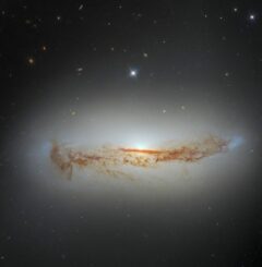 Hubble-Aufnahme der Spiralgalaxie NGC 7172. (Credits: ESA / Hubble & NASA, D. J. Rosario, A. Barth)