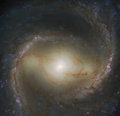 Hubble-Aufnahme der Spiralgalaxie M91. (Credits: ESA / Hubble & NASA, J. Lee and the PHANGS-HST Team)