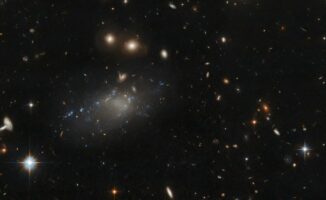 Hubble-Aufnahme der ultradiffusen Galaxie GAMA 526784. (Credits: ESA / Hubble & NASA, R. van der Burg; Acknowledgement: L. Shatz)
