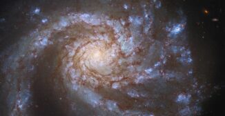 Hubble-Aufnahme der Spiralgalaxie M99. (Credits: ESA / Hubble & NASA, M. Kasliwal, J. Lee and the PHANGS-HST Team)