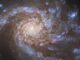 Hubble-Aufnahme der Spiralgalaxie M99. (Credits: ESA / Hubble & NASA, M. Kasliwal, J. Lee and the PHANGS-HST Team)