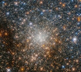 Hubble-Aufnahme des Kugelsternhaufens Terzan 9. (Credits: ESA / Hubble & NASA, R. Cohen)