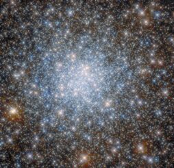 Hubble-Aufnahme des Kugelsternhaufens NGC 6638. (Credits: ESA / Hubble & NASA, R. Cohen)