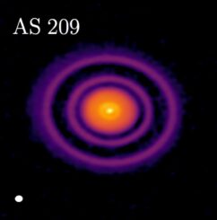 AS 209 ist ein junger Stern im Sternbild Ophiuchus. (Credits: ALMA (ESO / NAOJ / NRAO), A. Sierra (U. Chile))