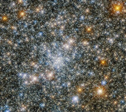 Hubble-Aufnahme vom Zentrum des Kugelsternhaufens NGC 6540. (Credits: ESA / Hubble & NASA, R. Cohen)