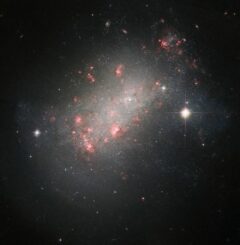 Hubble-Aufnahme der irregulären Zwerggalaxie NGC 1156. (Credits: ESA / Hubble & NASA, R. B. Tully, R. Jansen, R. Windhorst)